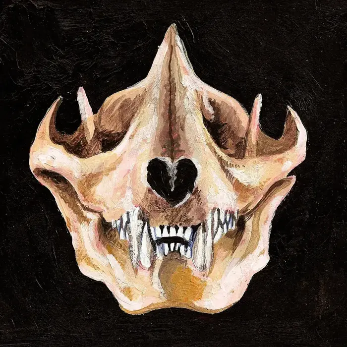 The skull of an ambiguous species of mammal.